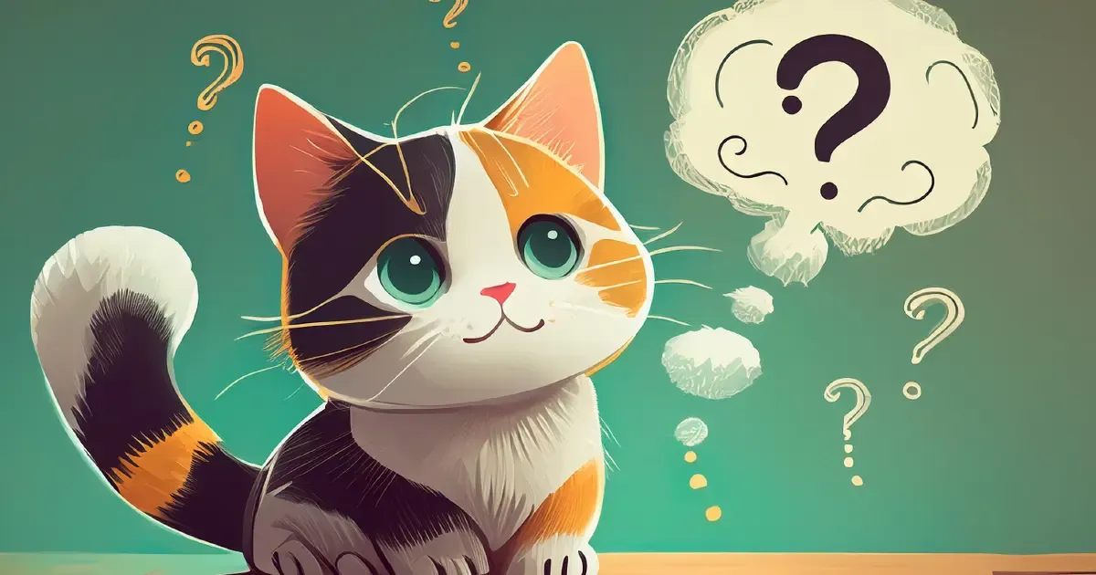 Cover of พูดไม่รู้เรื่อง จริงหรือเปล่าน้า (ฉบับ DevDev)